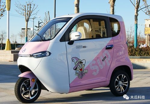 2款優(yōu)質(zhì)電動(dòng)三輪車來了,續(xù)航120公里,功能多,還能遮風(fēng)擋雨